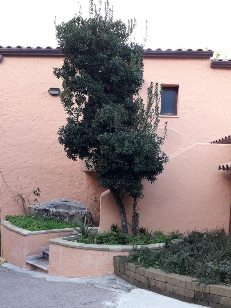 Sosventos Village Hotel 特乌拉达 外观 照片