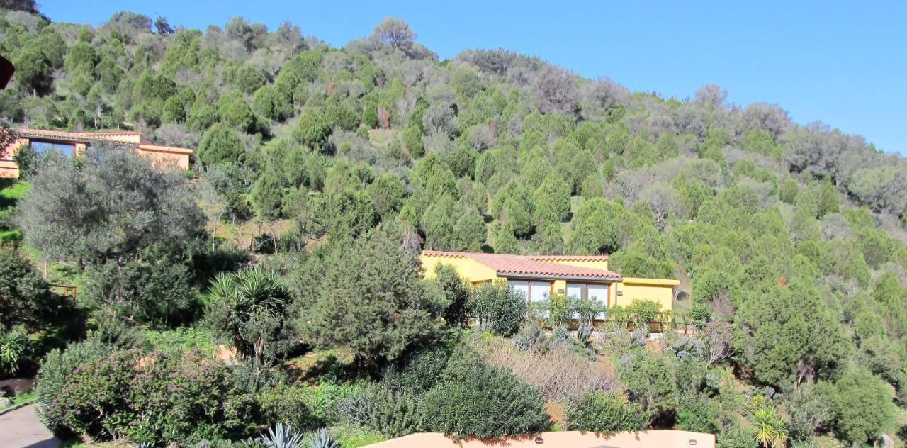Sosventos Village Hotel 特乌拉达 外观 照片