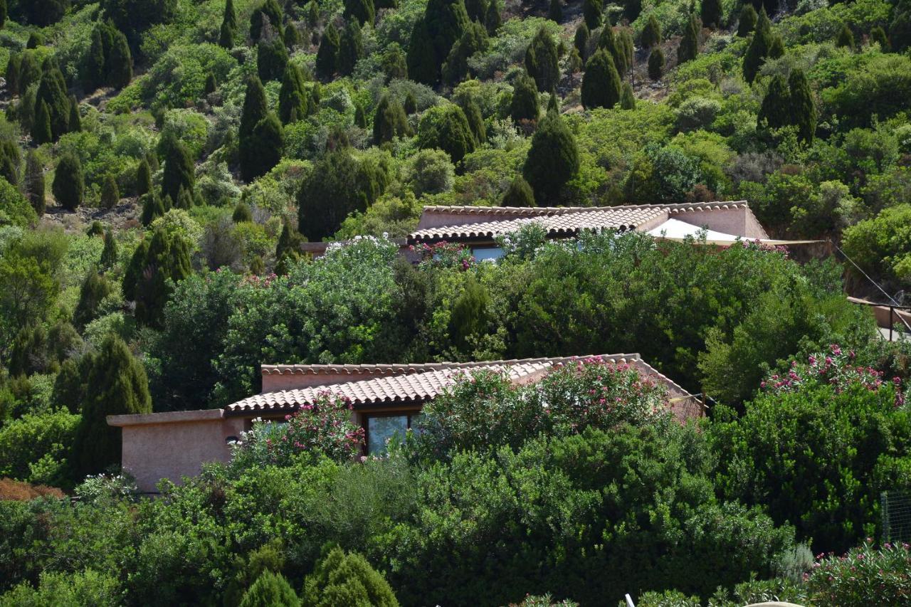 Sosventos Village Hotel 特乌拉达 外观 照片